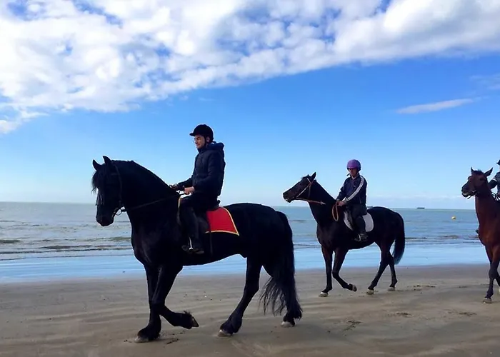 Flower Roof Private Terrace